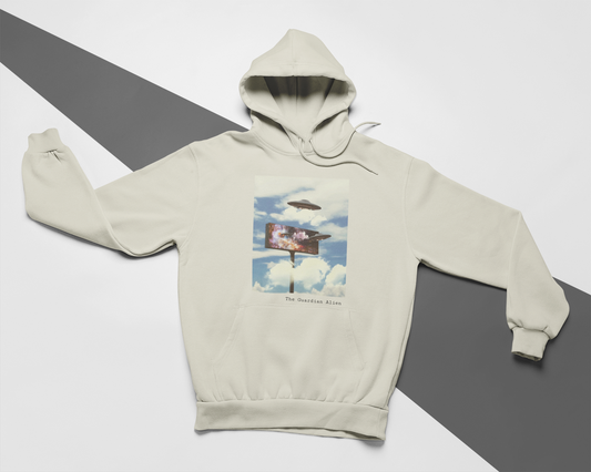 Flying Out Of Billboards Hoodie
